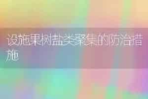 设施果树盐类聚集的防治措施
