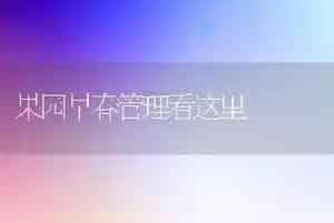 果园早春管理看这里