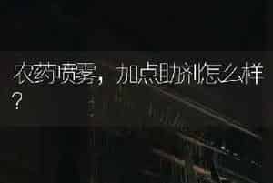 农药喷雾,加点助剂怎么样?