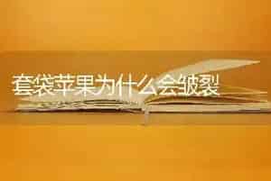 套袋苹果为什么会皱裂