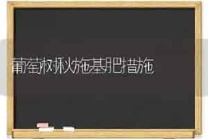 葡萄树秋施基肥措施