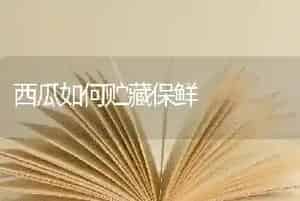 西瓜如何贮藏保鲜