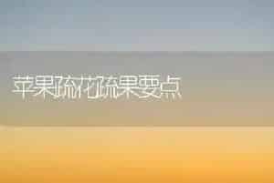苹果疏花疏果要点