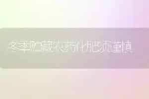 冬季贮藏农药化肥须谨慎