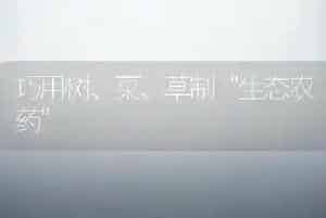 巧用树、菜、草制“生态农药”
