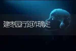 建枣园行距咋确定