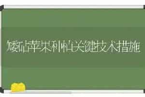矮砧苹果种植关键技术措施