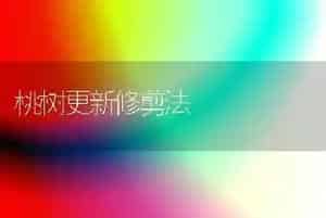桃树更新修剪法