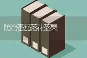 防治番茄落花落果