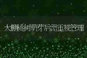 大棚桃树萌芽后需重视管理