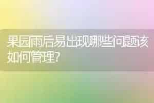 果园雨后易出现哪些问题该如何管理?