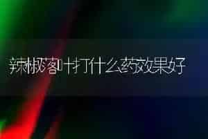 辣椒落叶打什么药效果好