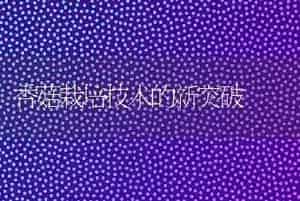 香菇栽培技术的新突破
