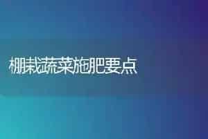棚栽蔬菜施肥要点