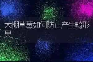 大棚草莓如何防止产生畸形果
