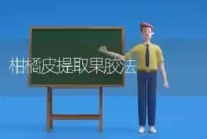 柑橘皮提取果胶法
