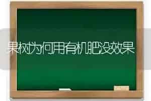 果树为何用有机肥没效果