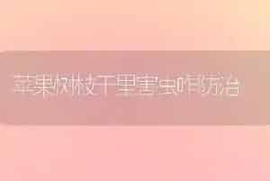 苹果树枝干里害虫咋防治