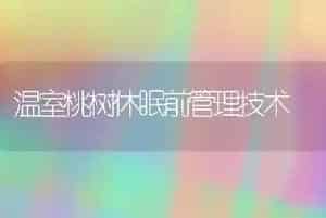 温室桃树休眠前管理技术