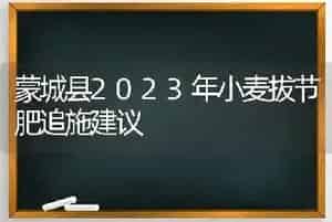 蒙城县2023年小麦拔节肥追施建议