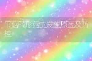 平菇畸形菇的发生原因及防控