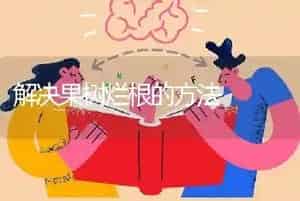 解决果树烂根的方法