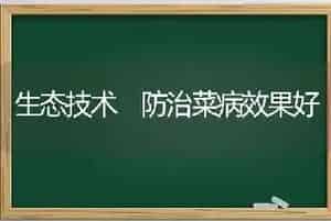 生态技术 防治菜病效果好
