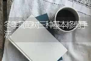 冬季葡萄树三种基本修剪手法