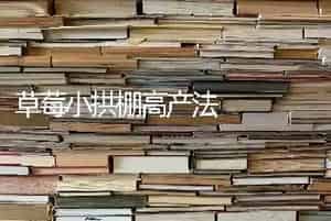 草莓小拱棚高产法