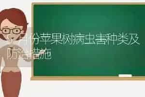 5月份苹果树病虫害种类及防治措施