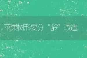 苹果树形要分“龄”改造