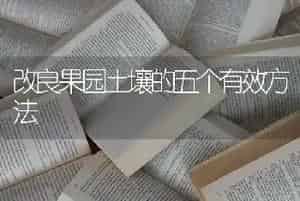 改良果园土壤的五个有效方法
