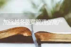 夏季牢记果园管理要点