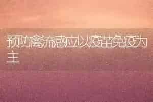 火龙果苗发黄腐烂怎么防治