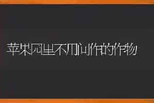 苹果园里不用间作的作物