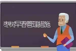 枣树早春管理措施
