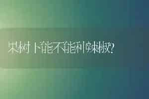 果树下能不能种辣椒?