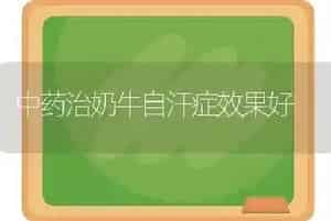 中药治奶牛自汗症效果好