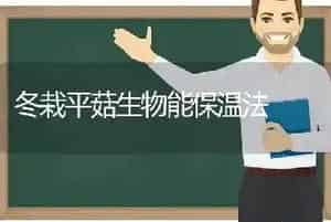 冬栽平菇生物能保温法
