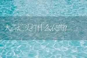 大蒜烂头打什么农药?