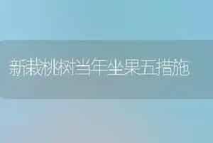 新栽桃树当年坐果五措施