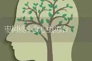 枣树桃小食心虫防治