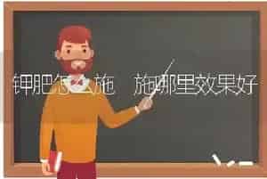 钾肥怎么施 施哪里效果好