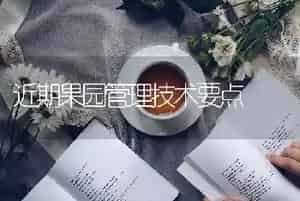 近期果园管理技术要点