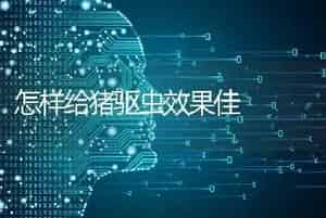 怎样给猪驱虫效果佳