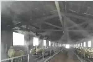 养殖场要如何消毒?养殖场常用的消毒方法介绍