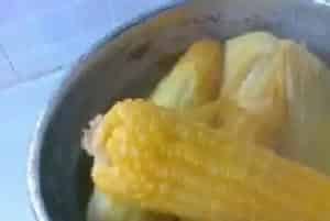 煮玉米的水可以浇花吗?