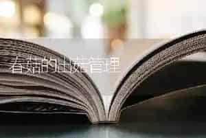 春菇的出菇管理