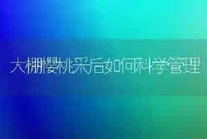 大棚樱桃采后如何科学管理