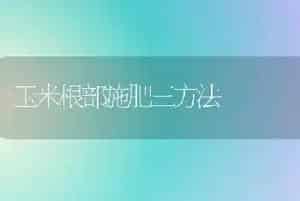 玉米根部施肥三方法